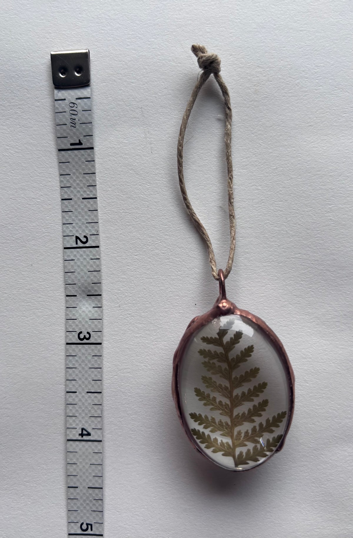 Botanical Amulets - Ferns & Flowers