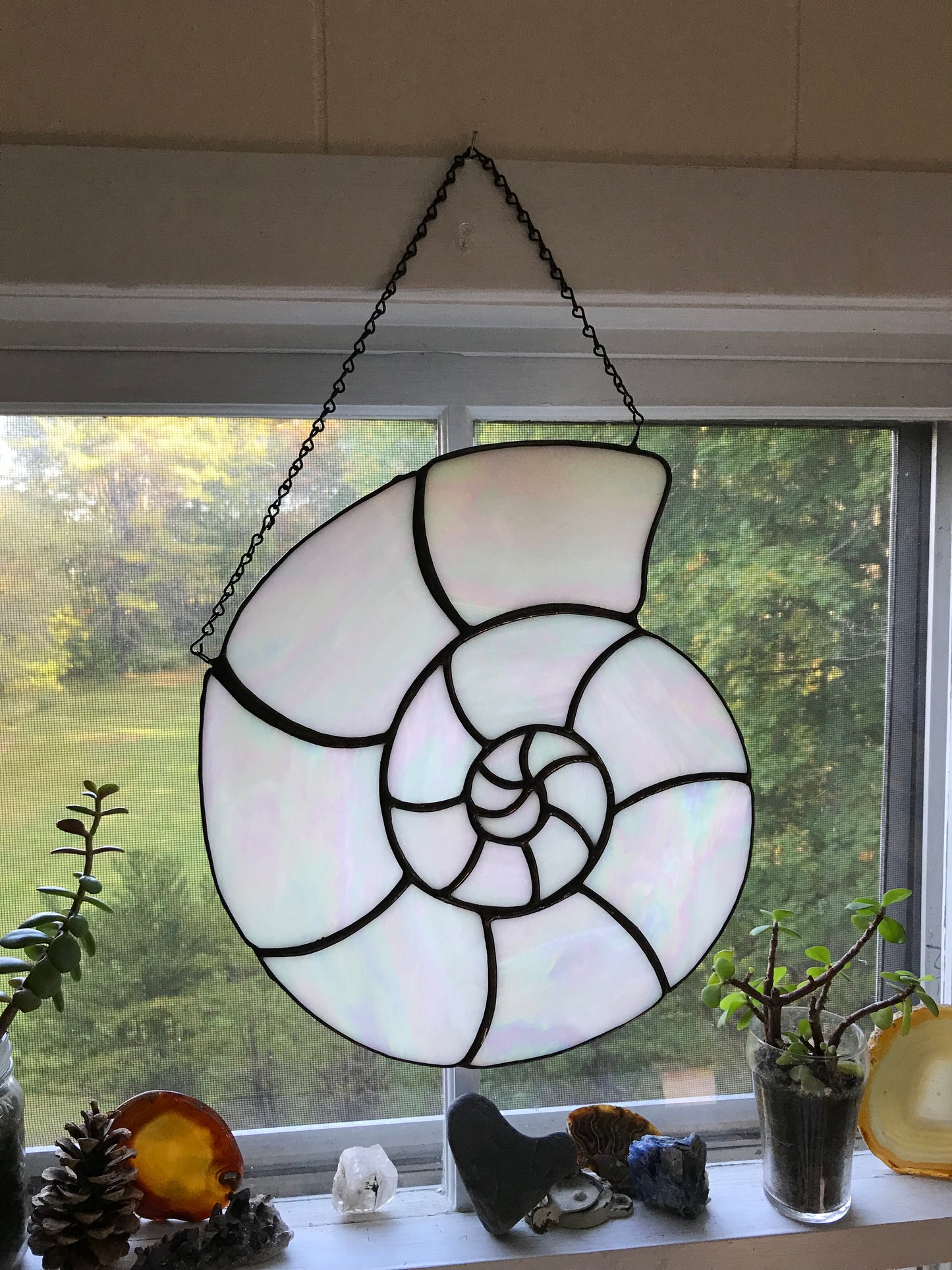 Stained glass panel with a shell design hanging on a window.