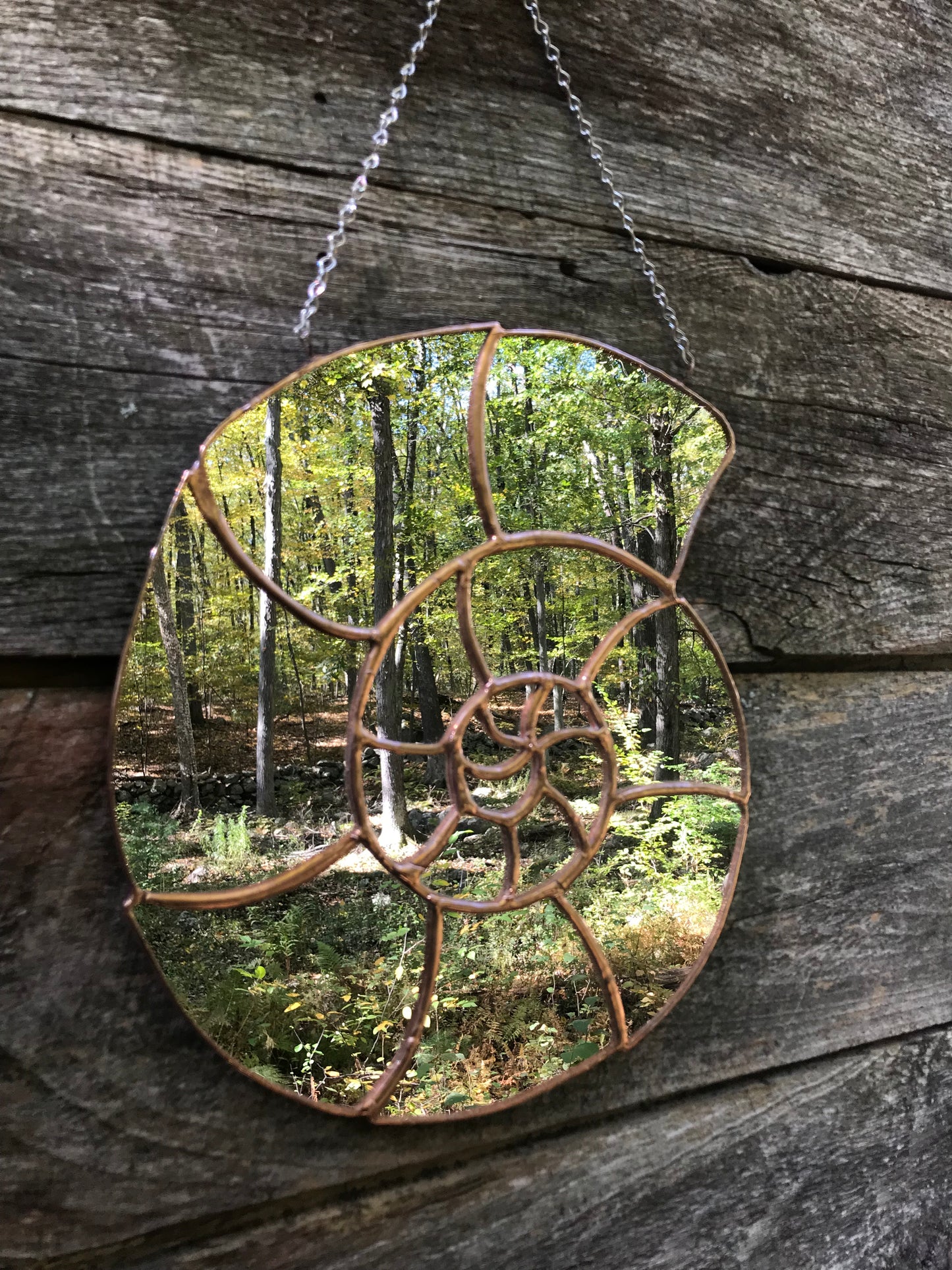 Ammonite Mirror