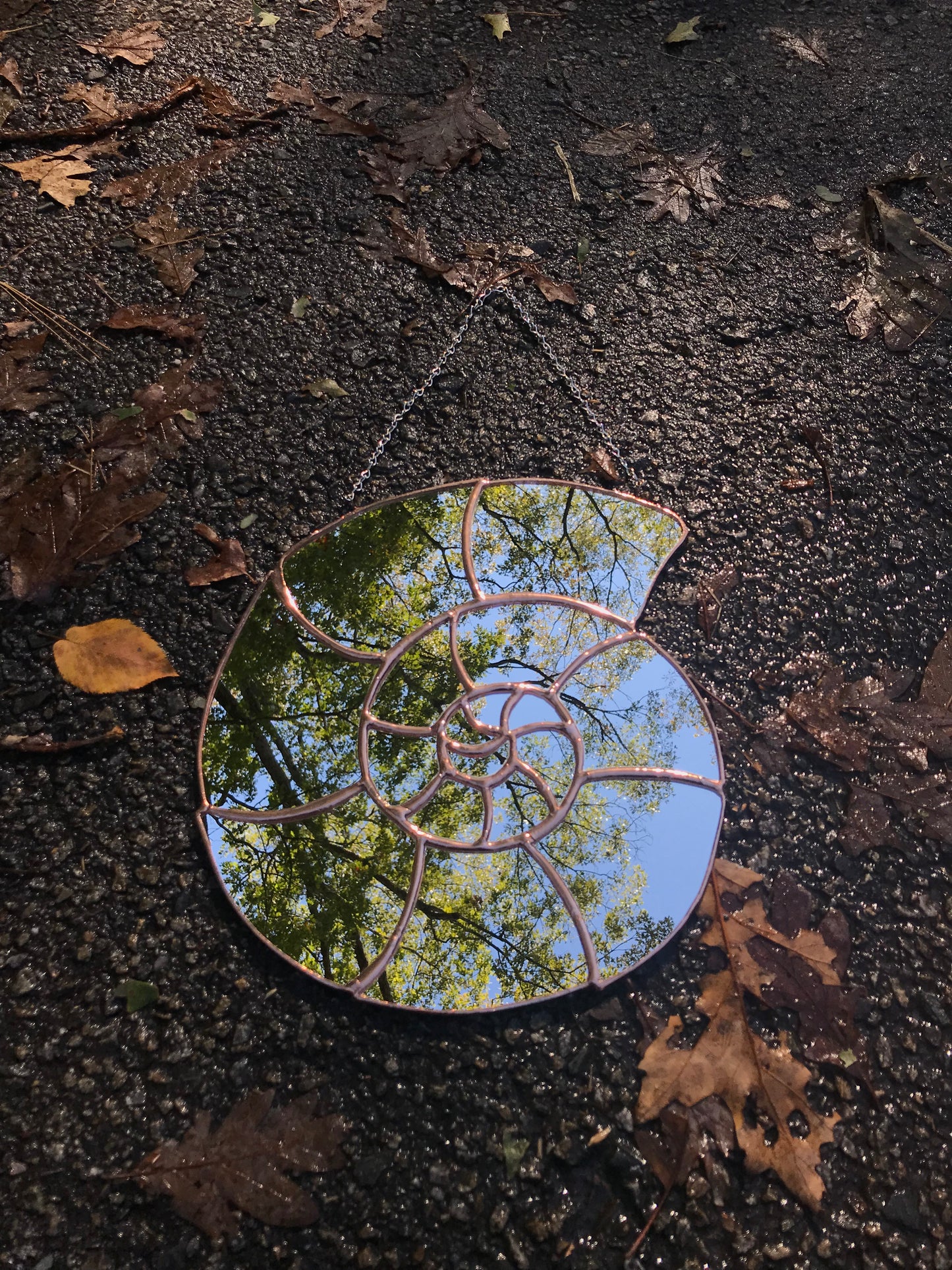 Ammonite Mirror