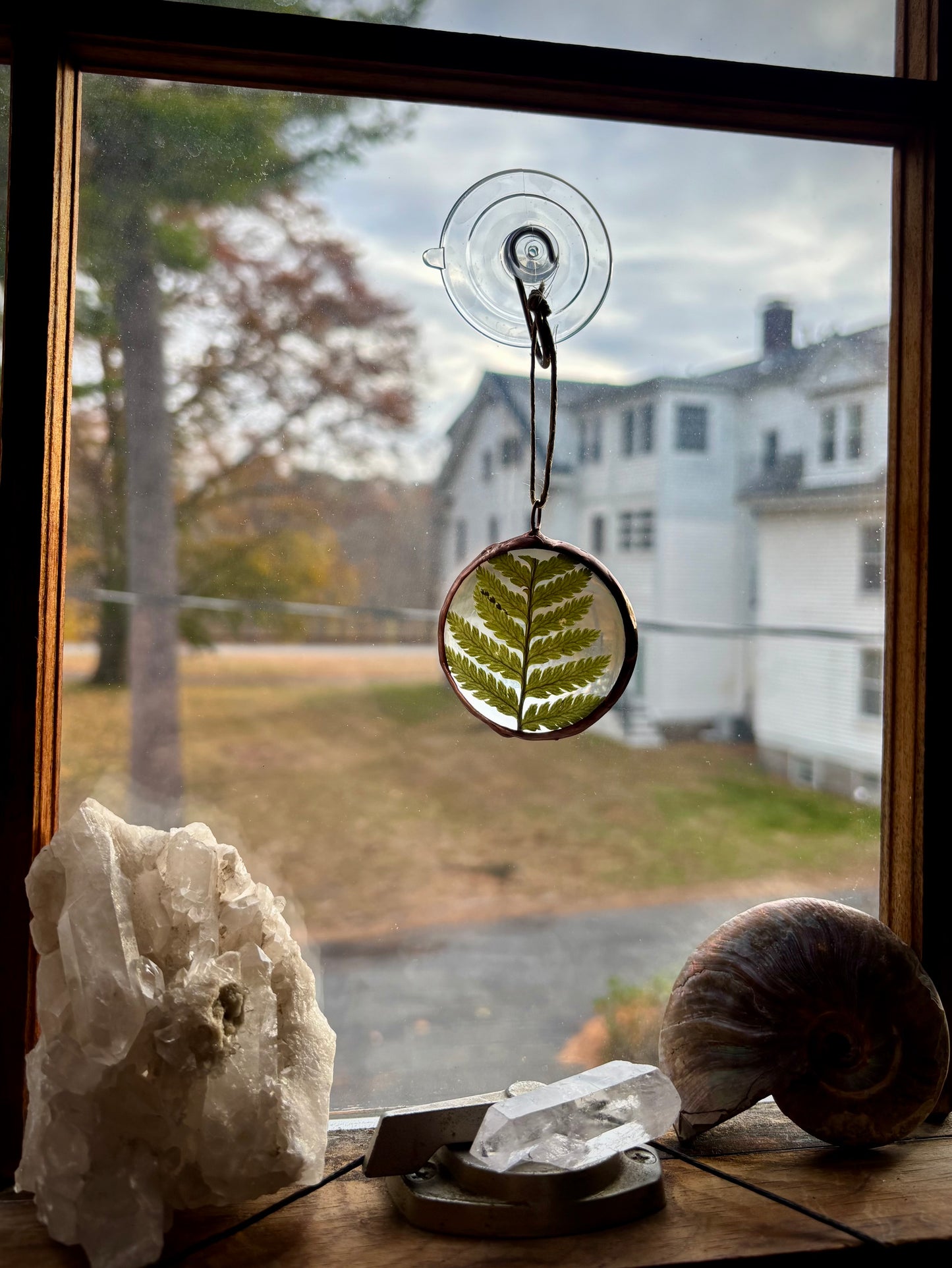 Pressed Fern Ornament