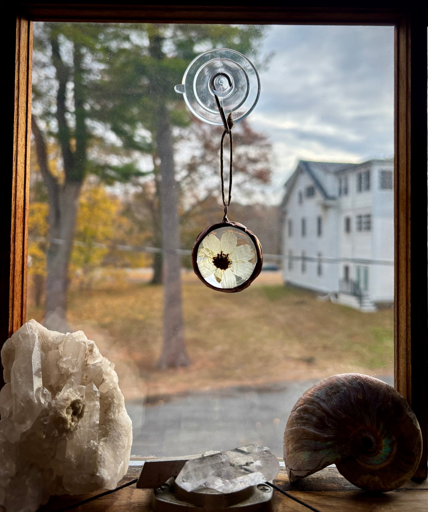 Pressed Flower Ornament