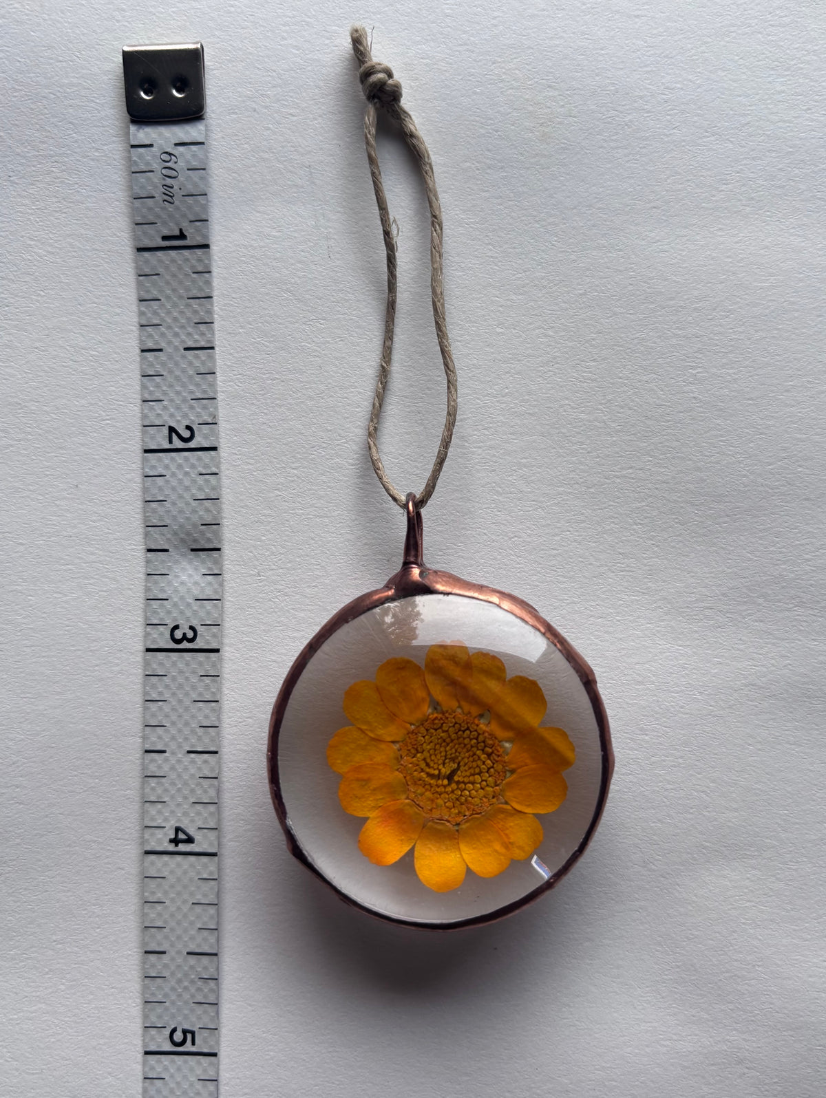 Botanical Amulets - Ferns & Flowers
