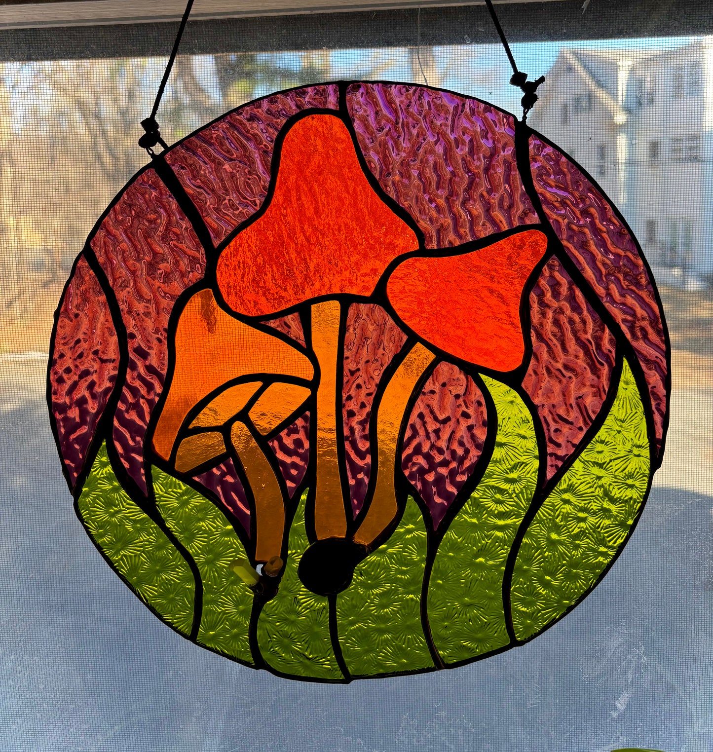 Woodland Mushrooms