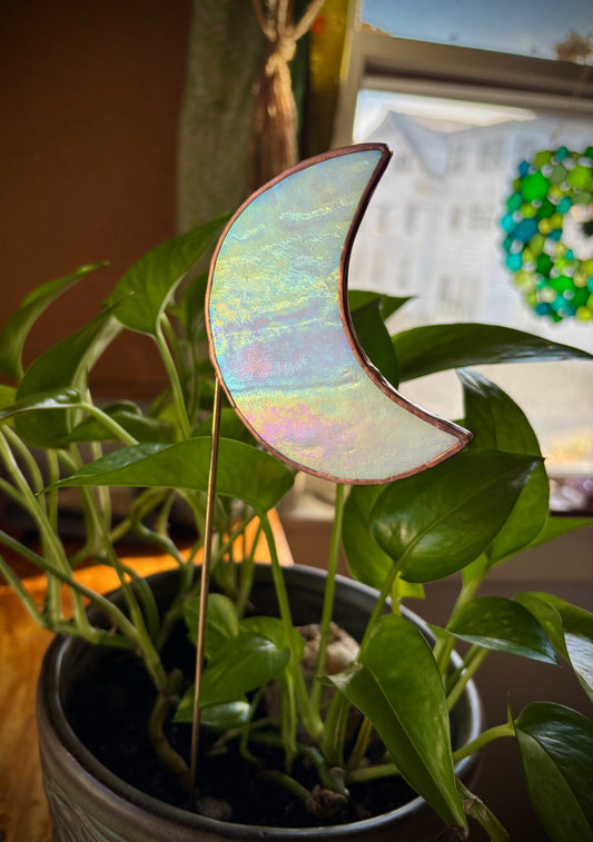 Iridescent Moon Plant Stake