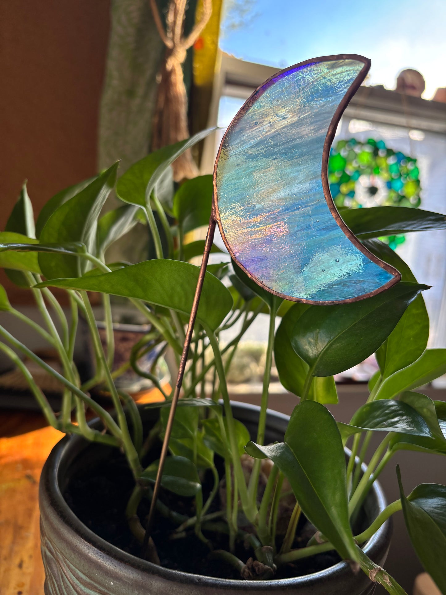 Iridescent Moon Plant Stake