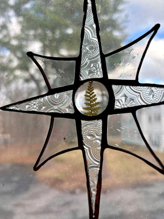 Fern Star with Quartz