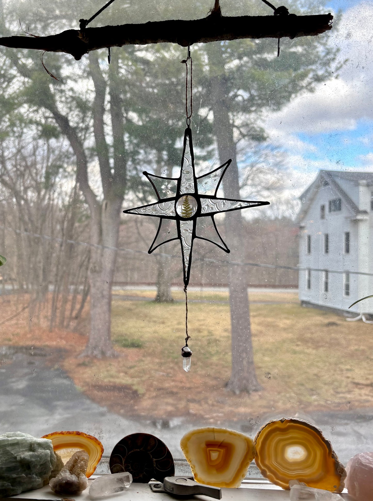 Fern Star with Quartz