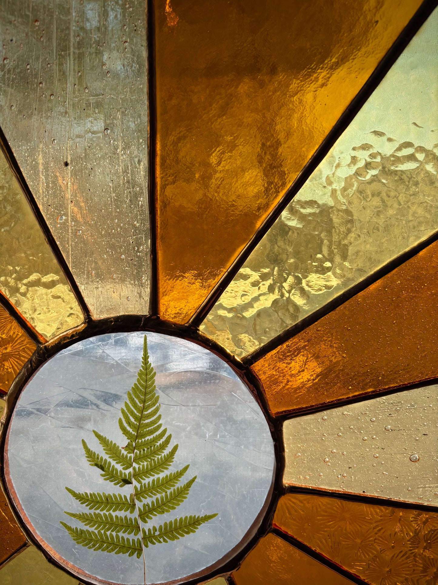 Sun Rays with Pressed Fern