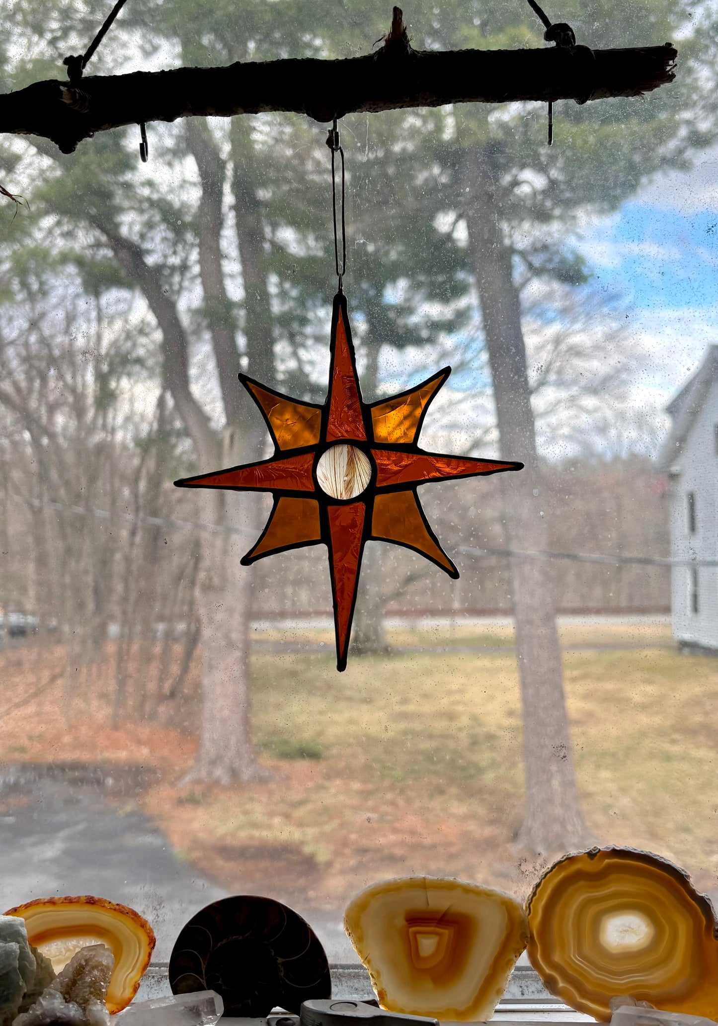 Lily Petal Star