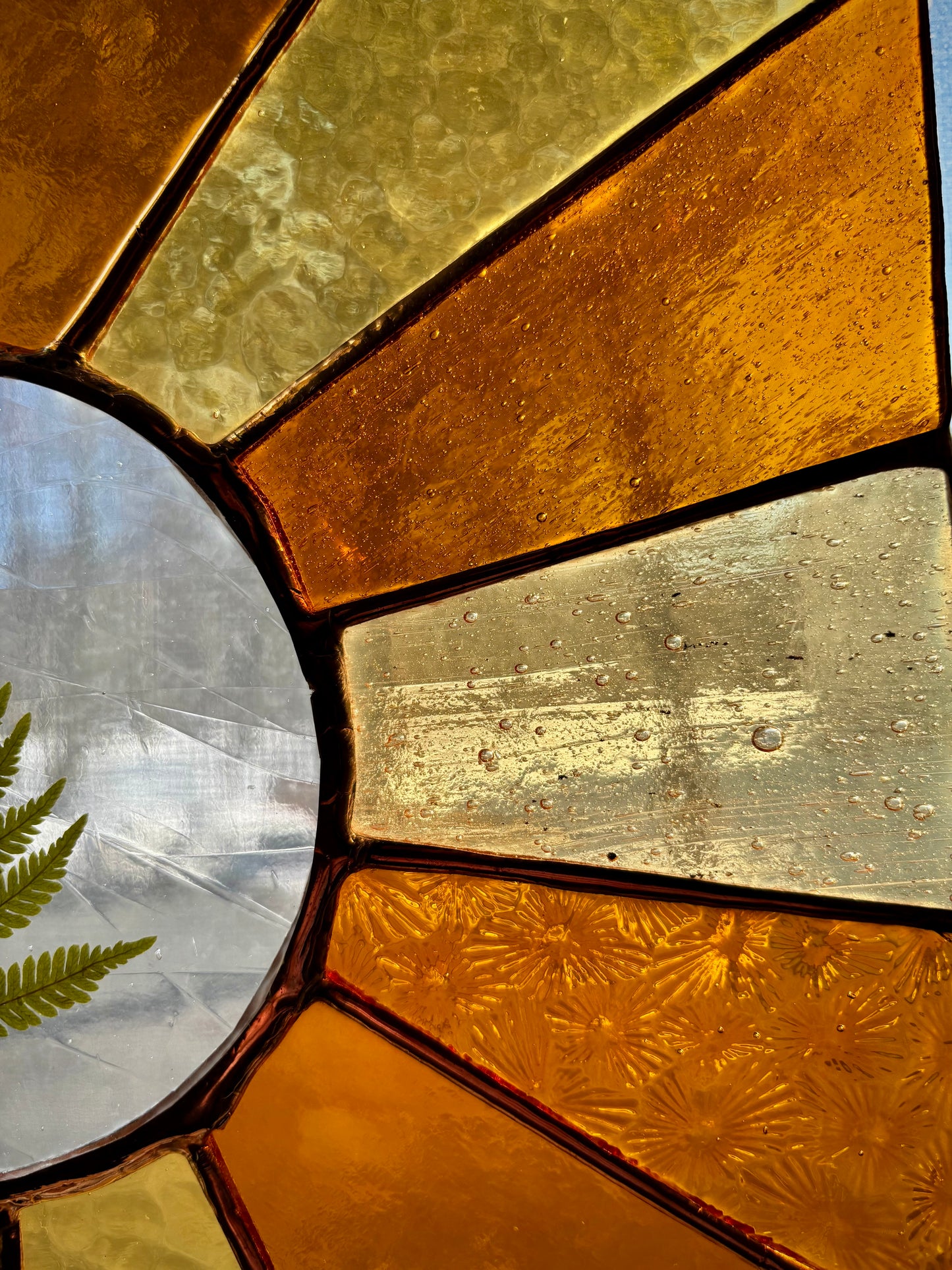 Sun Rays with Pressed Fern