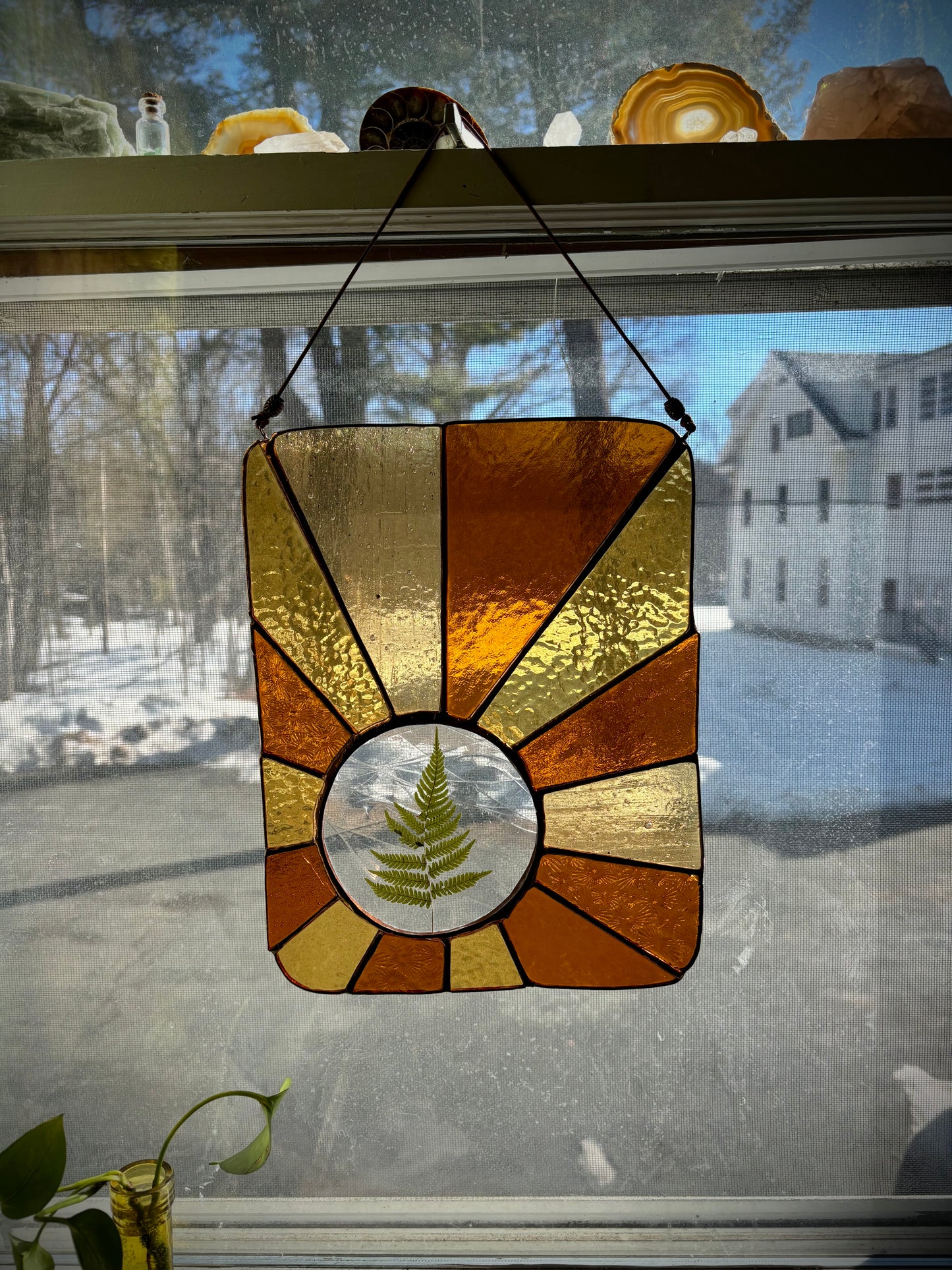 Sun Rays with Pressed Fern