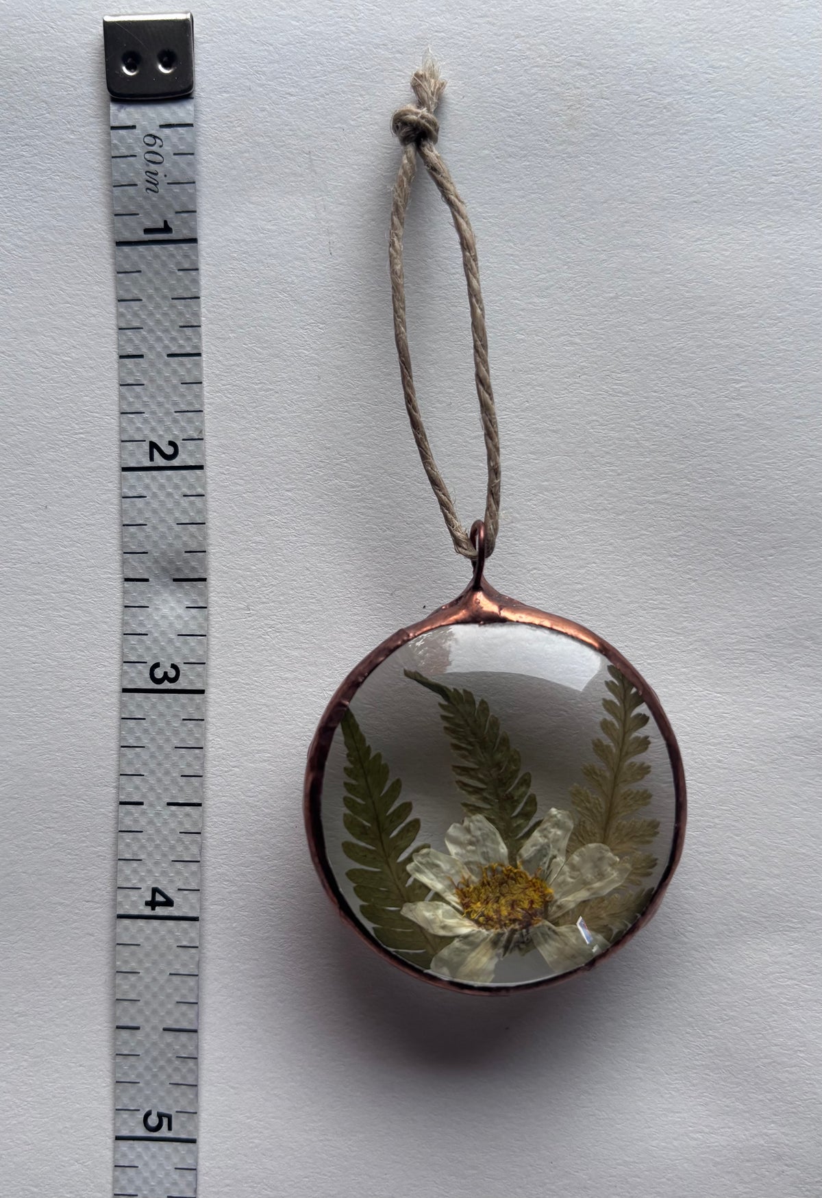 Botanical Amulets - Ferns & Flowers