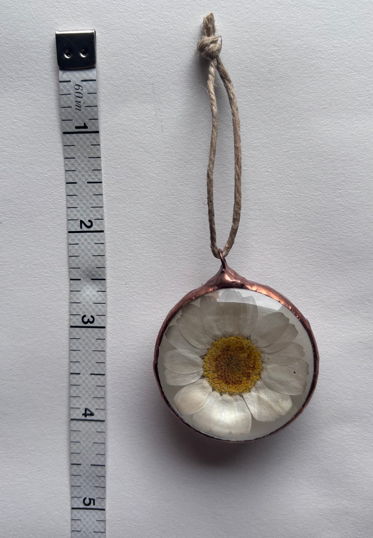 Botanical Amulets - Ferns & Flowers II
