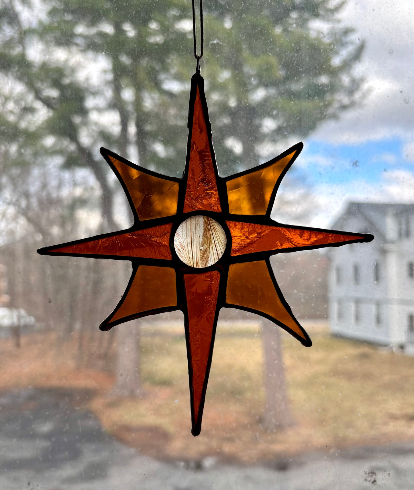 Lily Petal Star