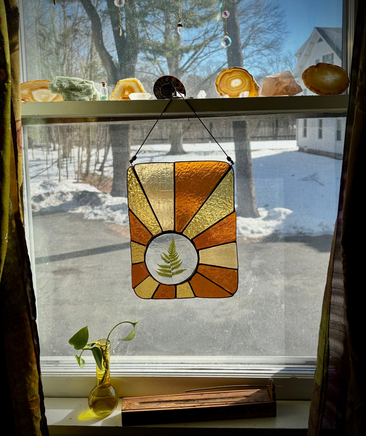 Sun Rays with Pressed Fern