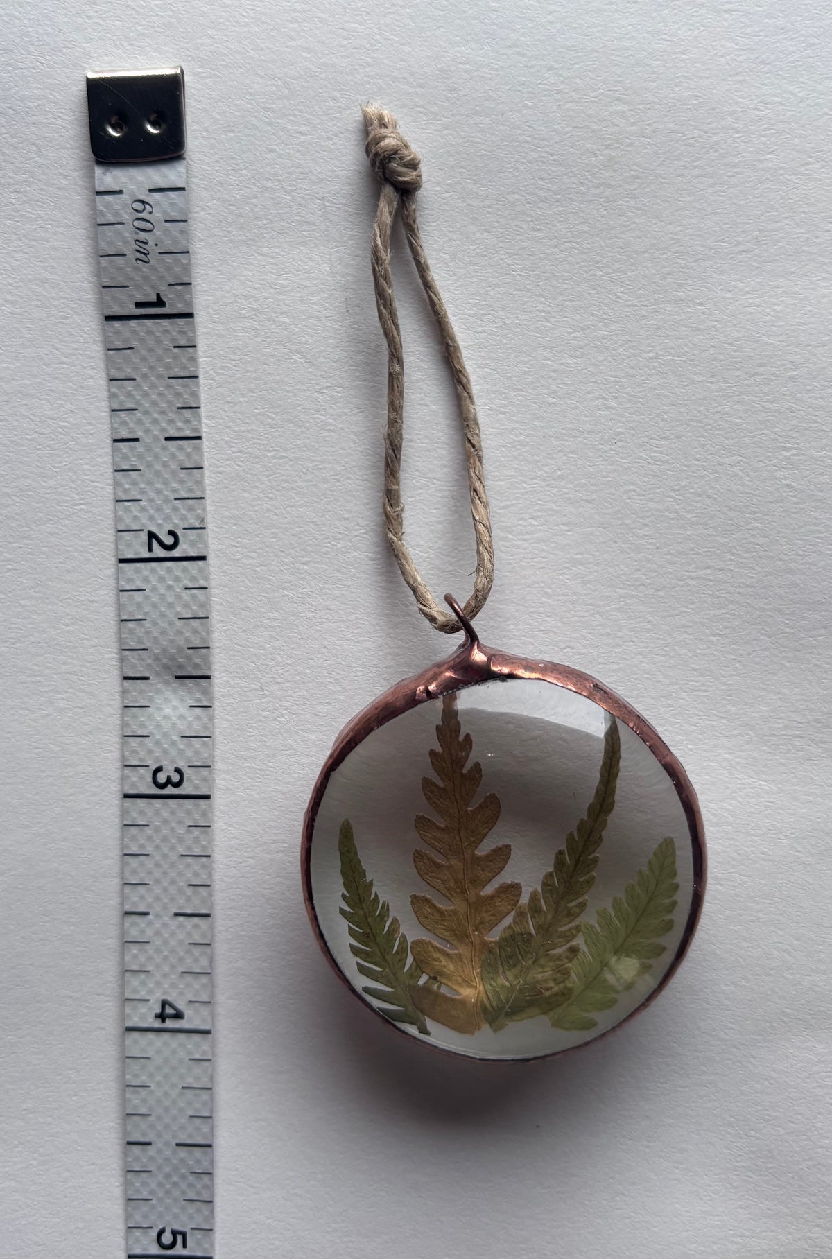 Botanical Amulets - Ferns & Flowers II