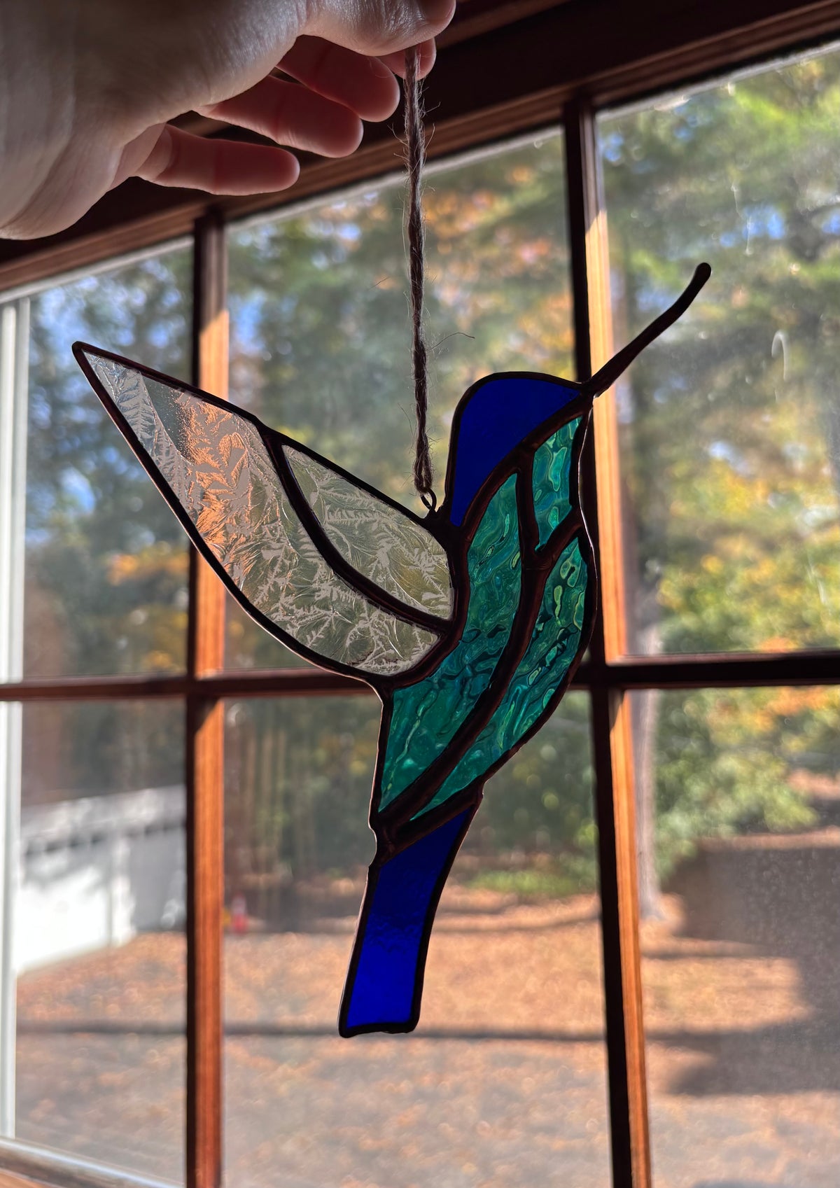Iridescent Hummingbird