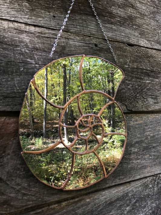 Decorative mirror shaped like an ammonite on a wooden surface.