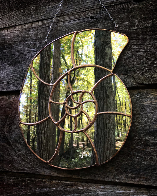 Ammonite Mirror