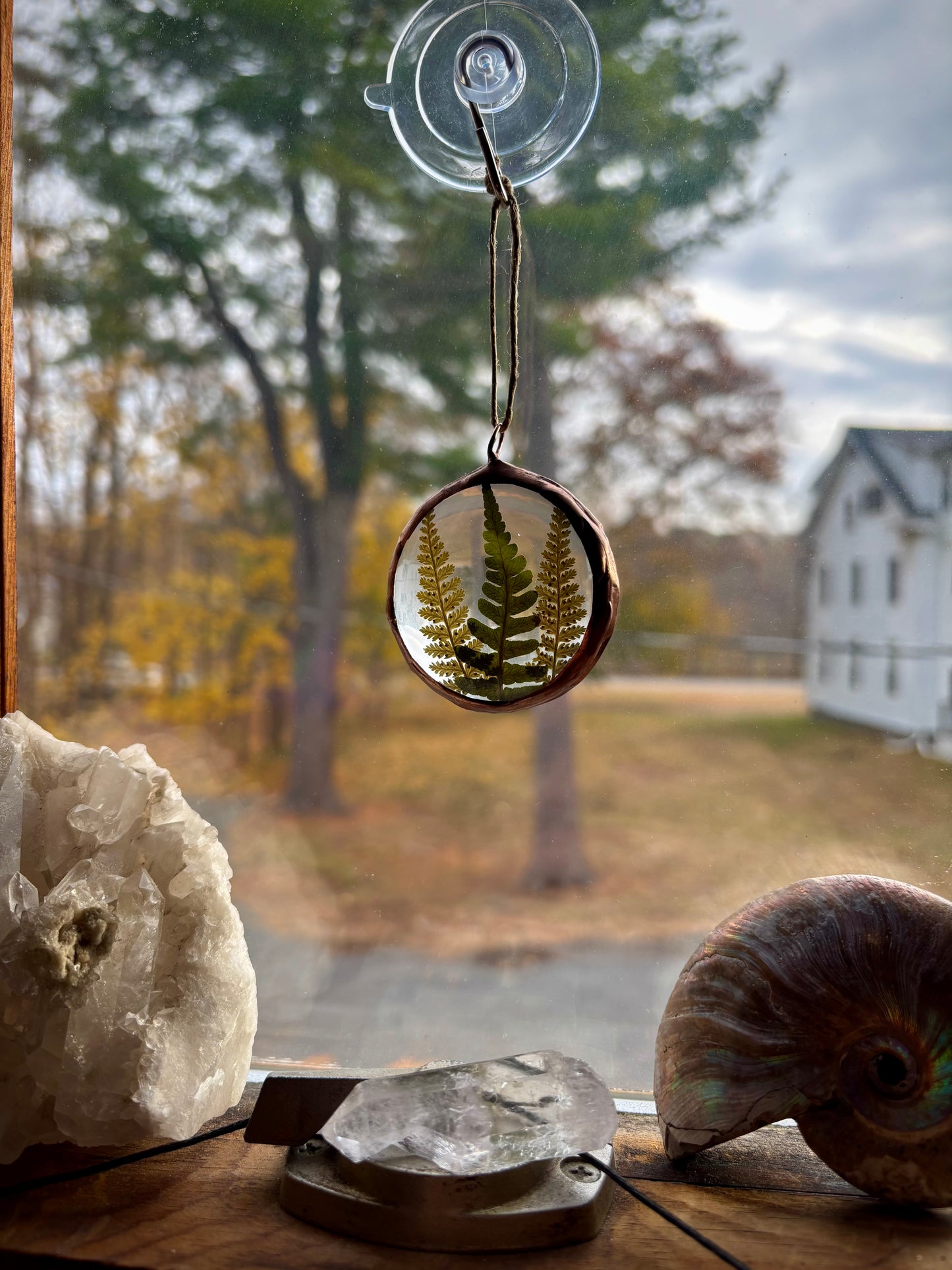 Pressed Ferns Ornament