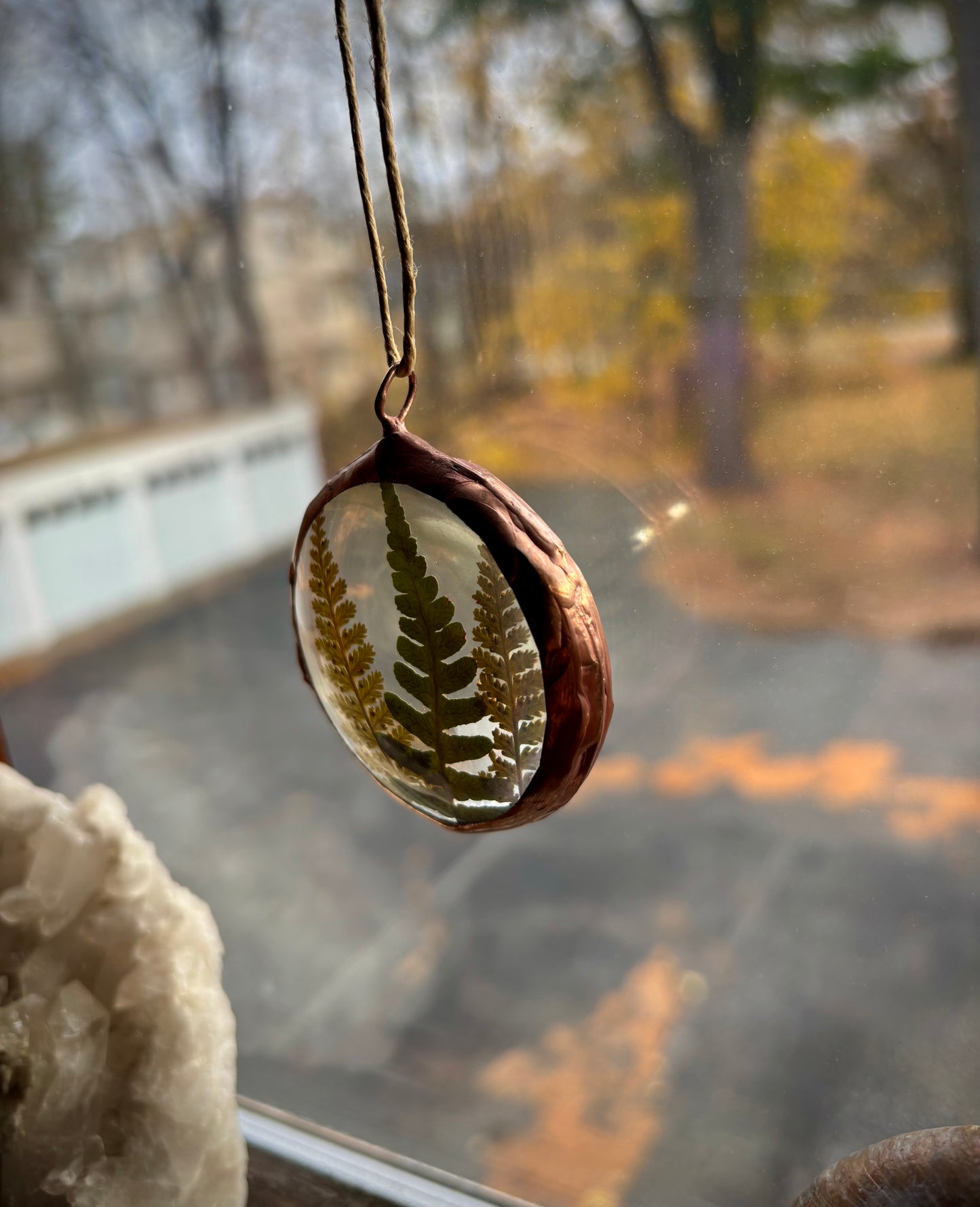 Pressed Ferns Ornament