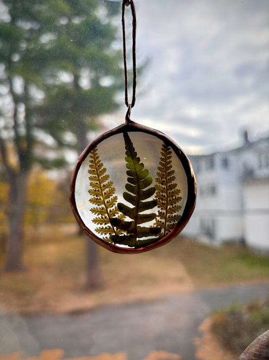 Pressed Ferns Ornament
