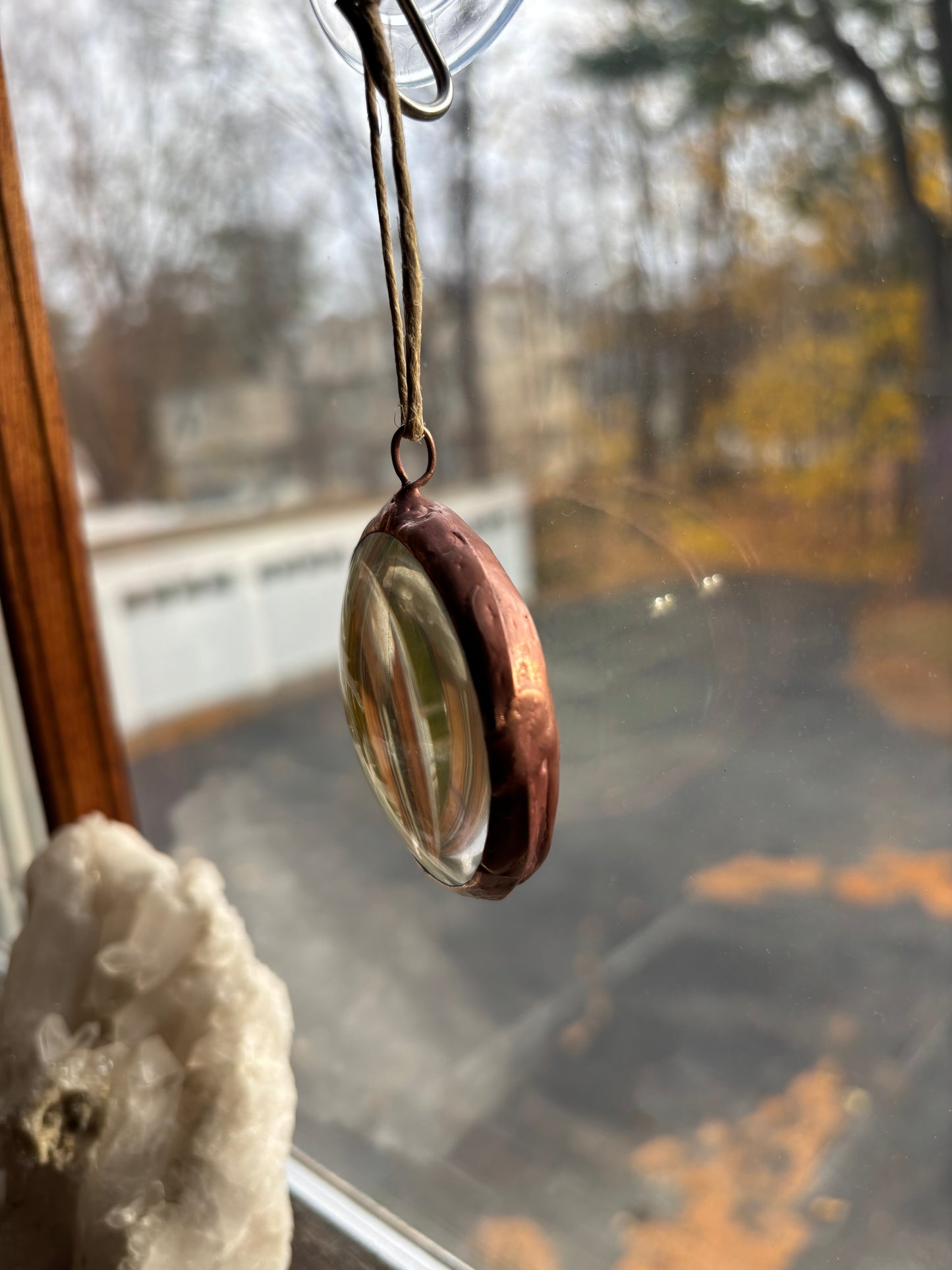 Pressed Fern Ornament