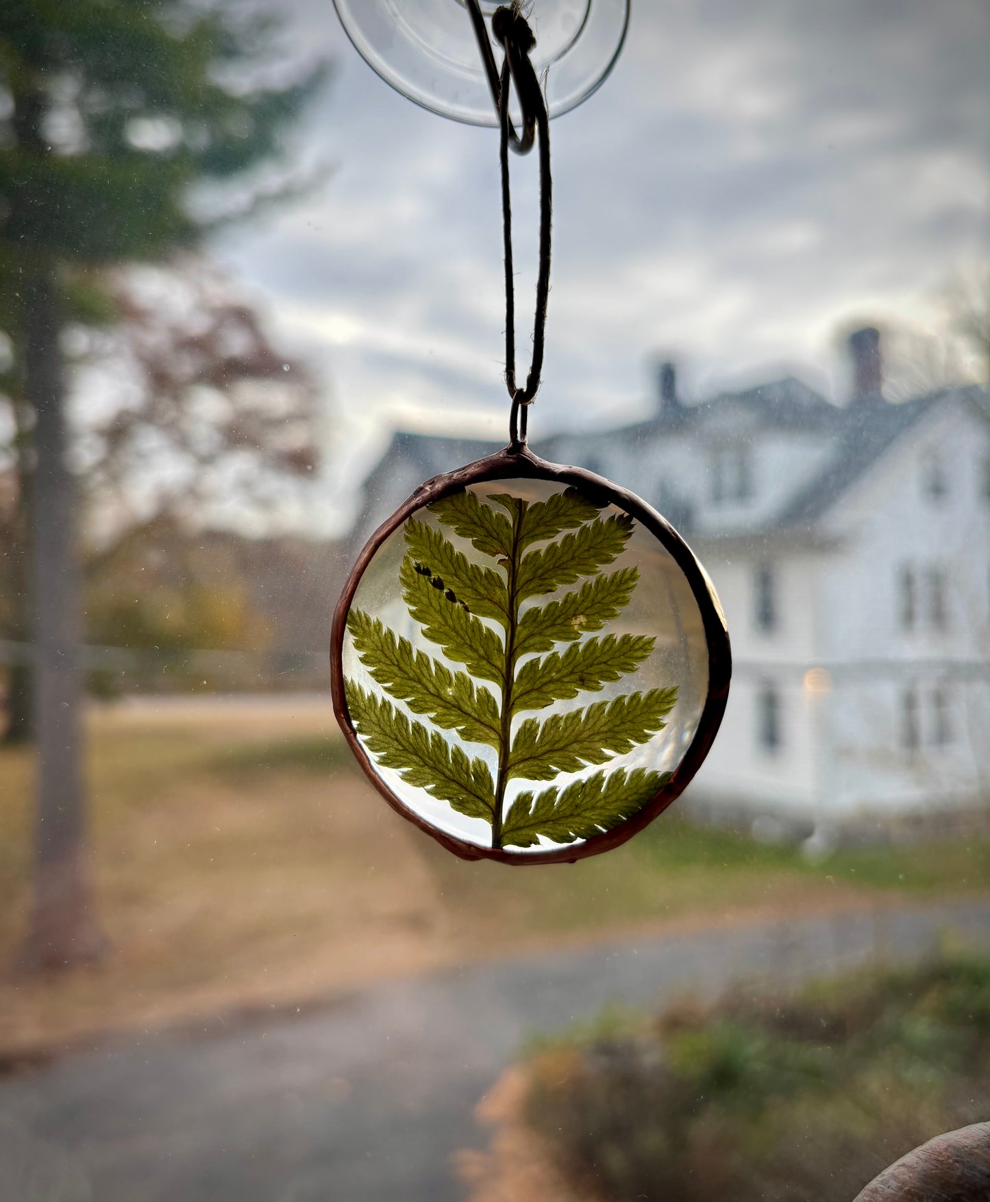 Pressed Fern Ornament
