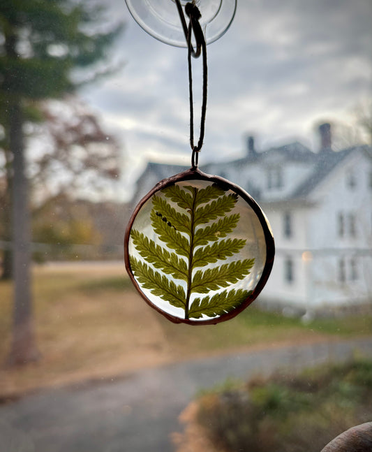 Pressed Fern Ornament