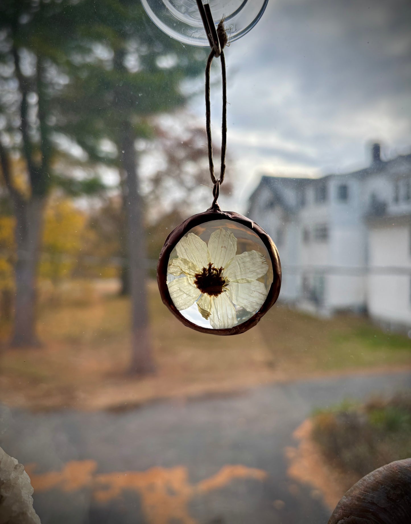 Pressed Flower Ornament
