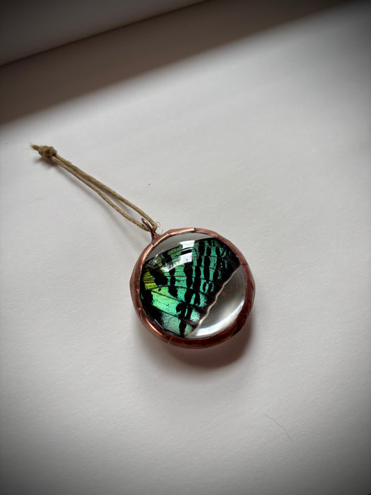 Pressed Green Sunset Moth Wing Ornament