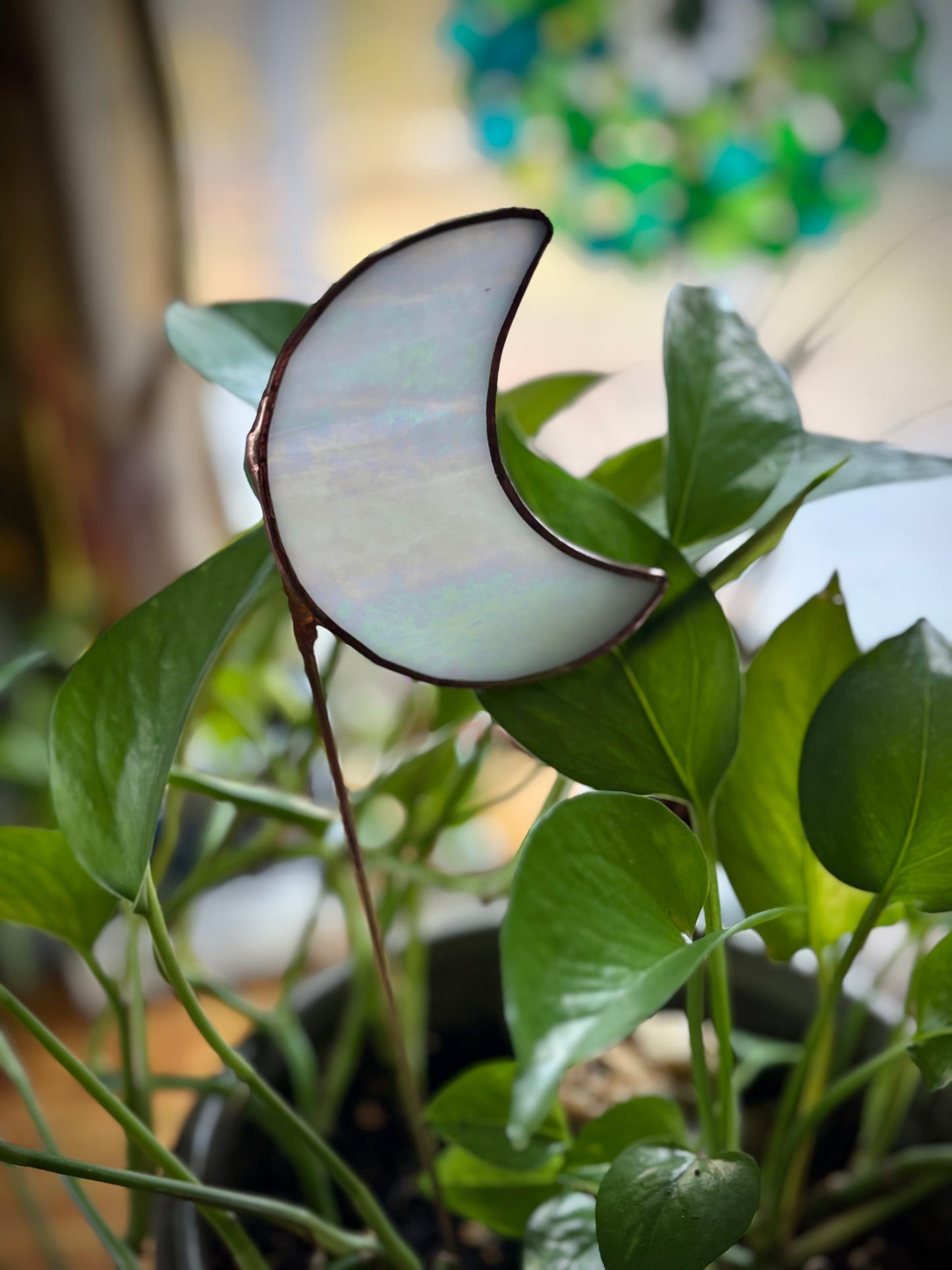 Iridescent Moon Plant Stake