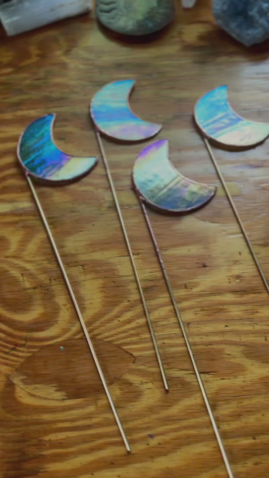 Iridescent Moon Plant Stake