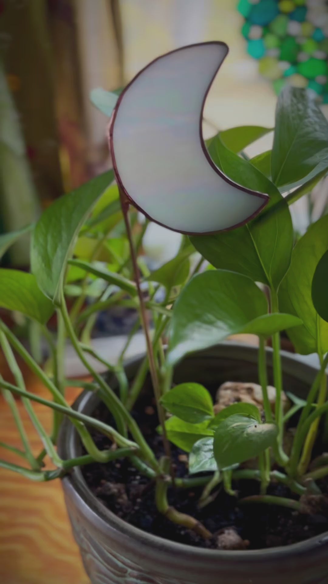 white moon shaped plant stake in a green plant.
